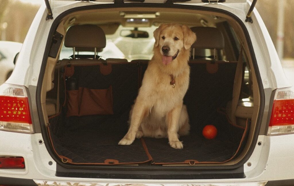 Dog Car Seat Covers