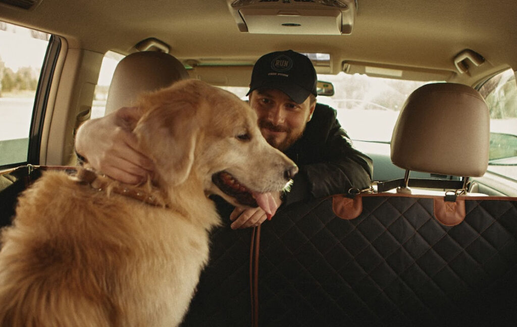 car dog hammock