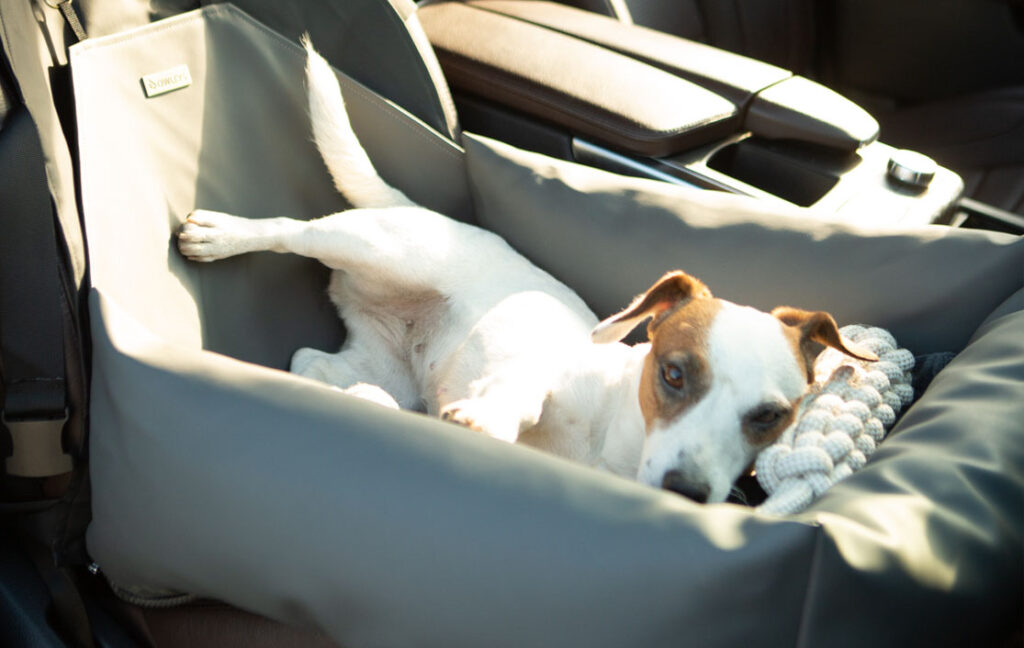 dog car seat